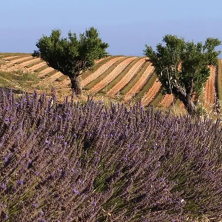 Hotel Logis Du Terreau 2*