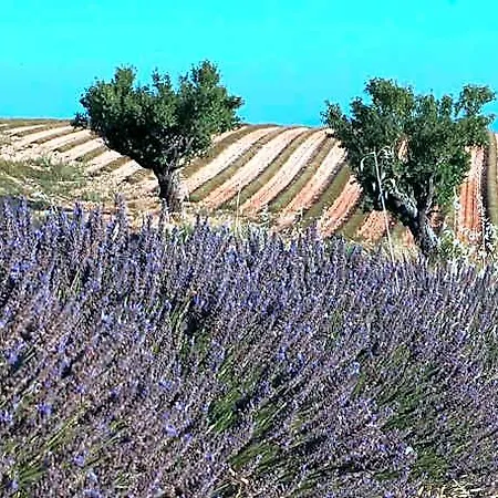 מלון Logis Du Terreau מנוסק