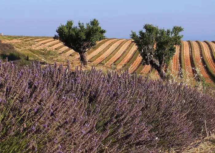 Hotel Logis Du Terreau 2*